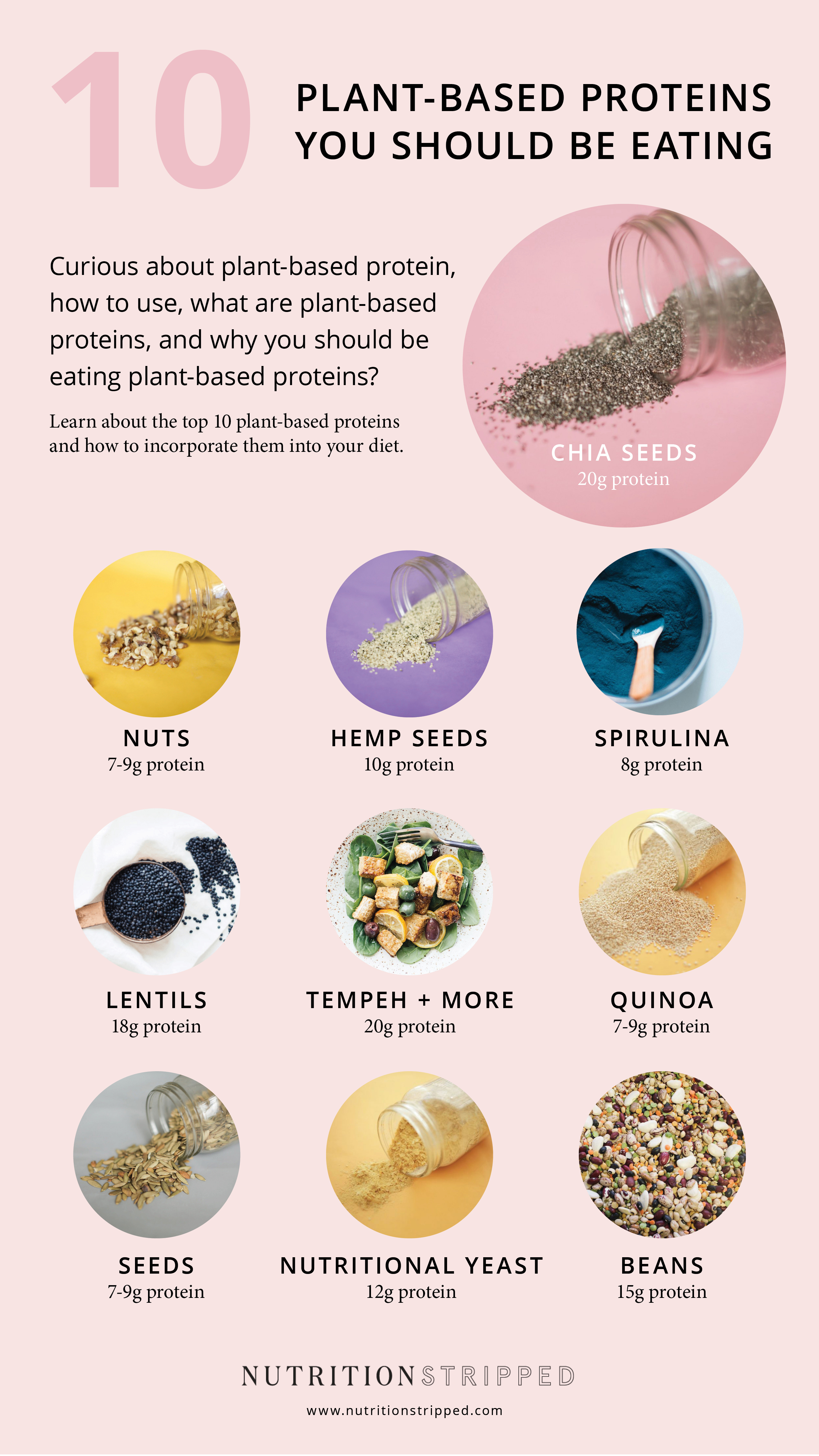 Infographic 10 Common Plant-Based Protein Sources and Their Protein Per Serving Amounts in Grams