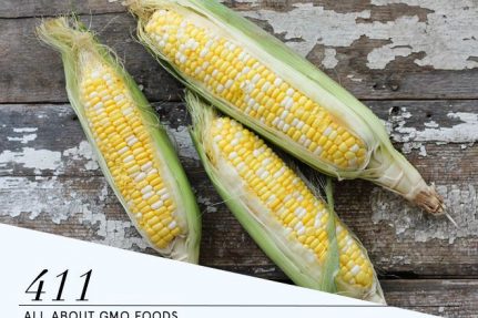 411: Are GMO