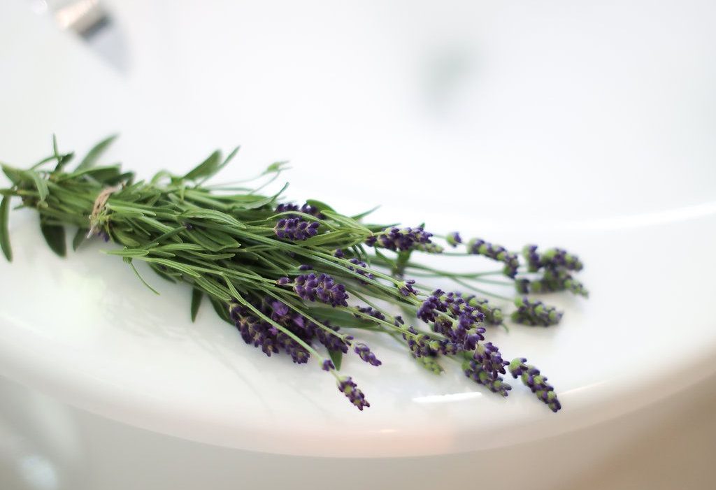 5 Ways to Use Lavender to Chill | Nutrition Stripped